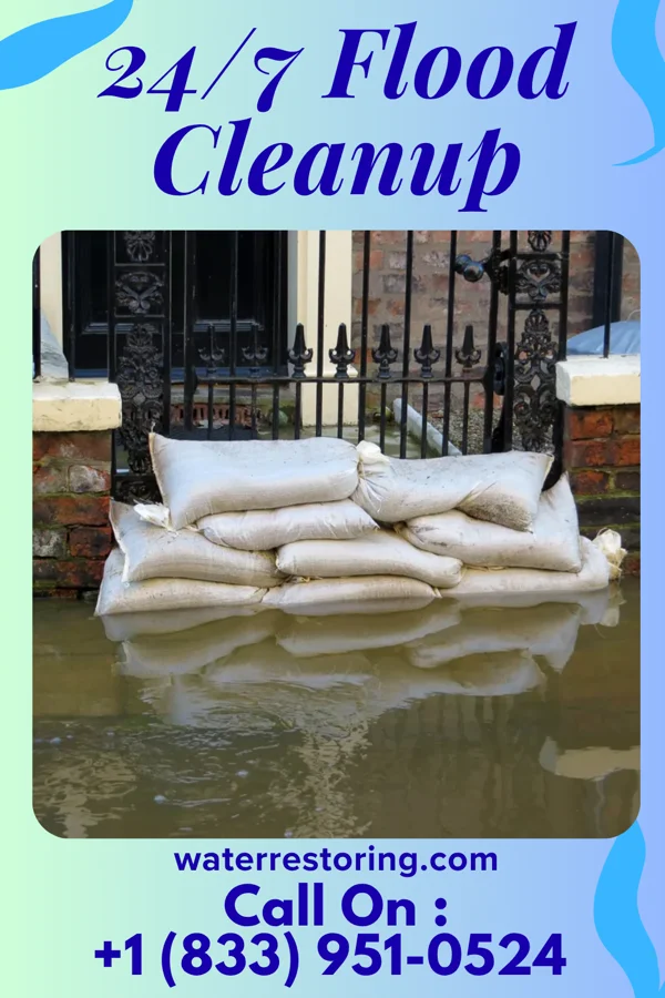 24/7 Flood Cleanup in Lyon, MS