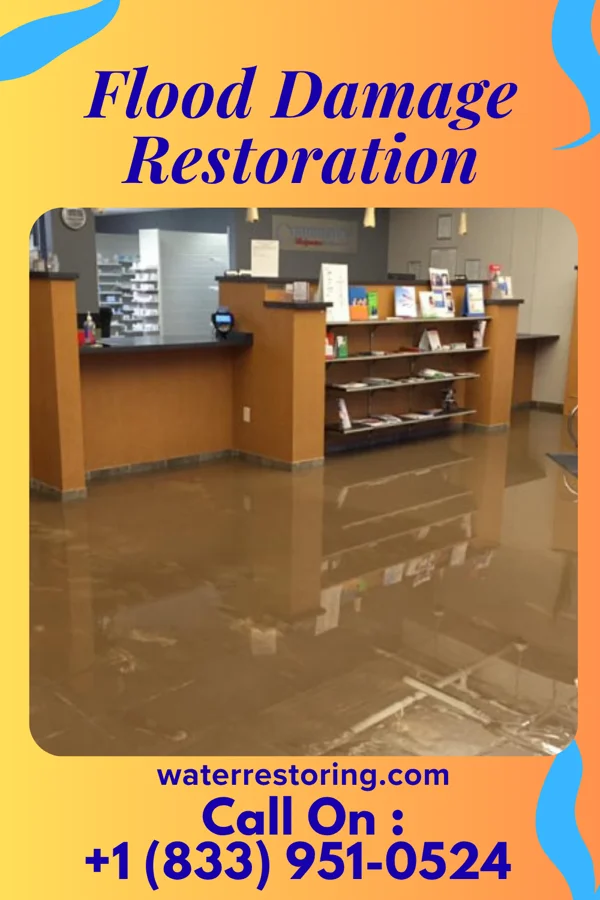 Flood Damage Restoration in Lyon, MS