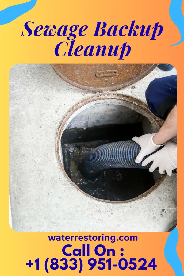 Sewage Backup Cleanup in Lyon, MS