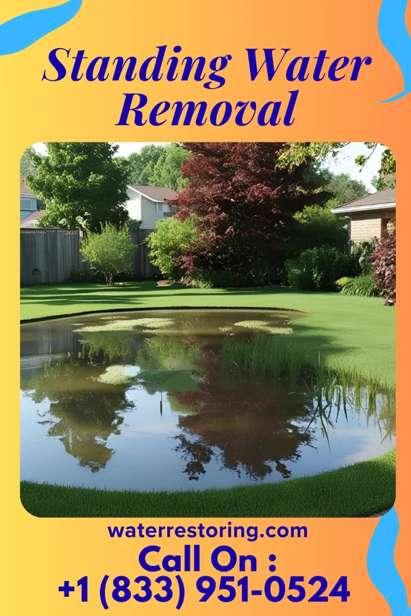 Standing Water Removal in Lyon, MS